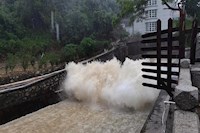 暴雨傾城，水控人冒雨排澇保暢通，守土盡責保供水安全！