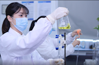 巾幗不讓須眉，她們獲省級巾幗文明崗榮譽